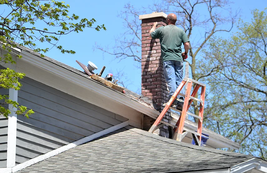 Chimney & Fireplace Inspections Services in Riverton, UT